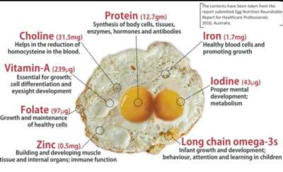 Eggs