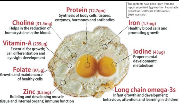 This egg перевод. How many Proteins in one Egg. Energy value of Eggs. Eggs Nutrition Card. Why is there no difference between Protein and Egg White?.